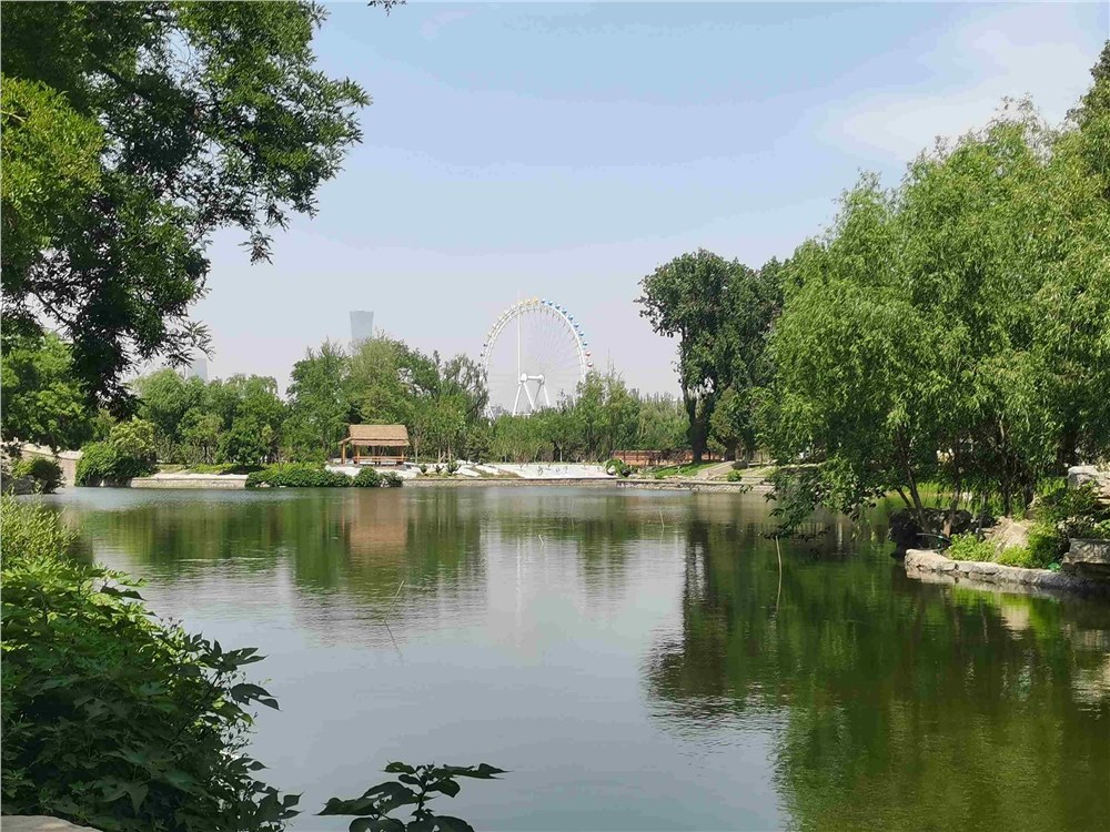 北京市龙潭三湖生态手段治理水体效果显著